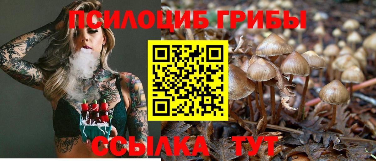 Псилоцибиновые грибы Psilocybe Выкса
