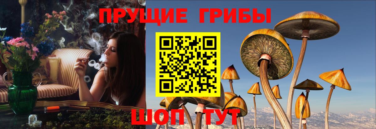 Выкса  Галлюциногенные грибы мухоморы  Вход с VPN 